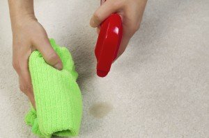 Cleaning Stain in Carpet